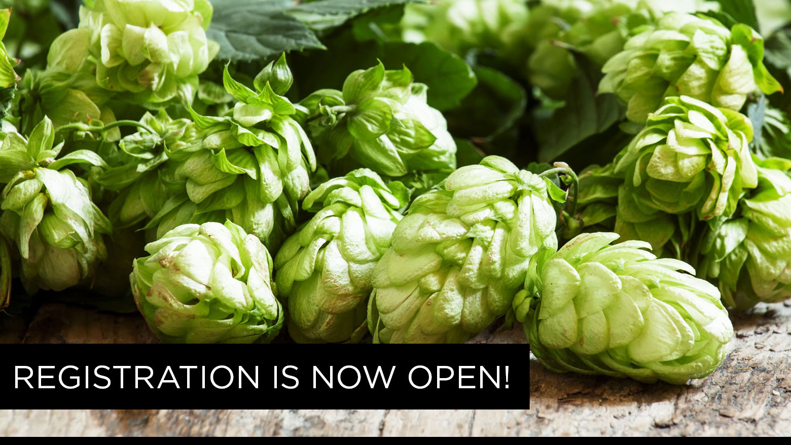 Calling all homebrewers!